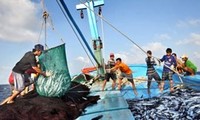 越南工会组织协助渔民从事远海捕捞