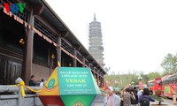 2014年卫塞节—越南佛教融入国际和发展的步伐