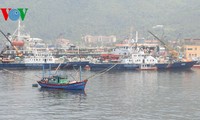 越南全国人民与海上警察和渔业检查力量团结一心牢牢维护海洋海岛主权