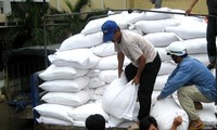 越南承诺每年向东盟与中日韩大米应急储备基金提供一万四千吨大米