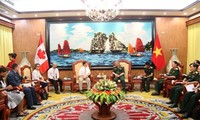 越南国防部和加拿大国防部进行合作