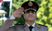 当选总统塞西就职典礼前埃及加强安保措施