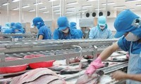 越南重组查鱼加工业结构