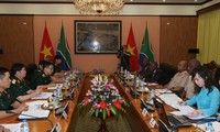 越南和南非加强双边国防关系