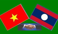 越南祖国阵线高级代表团访问老挝