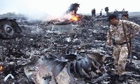 越南领导人致电马来西亚领导人对马航客机坠毁事件表示慰问