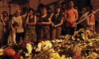 马航MH17空难遇难者中有三名越南人   越南外交部积极帮助越南遇难者家属