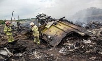 MH17悲剧后的政治目的