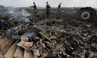 马来西亚与荷兰一致呼吁在MH17客机坠毁现场停火