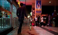 中国新疆莎车县发生的暴恐案造成37人死亡
