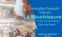 《越南黄沙：失去的痛苦》——激动人心的纪录片