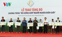  越南国家主席张晋创出席向贫困者赠送种牛仪式