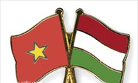 越南-匈牙利关系在多领域日益发展