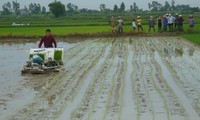 北宁省开展耕作地拼合交换，大力推动农业生产机械化