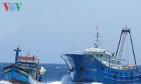 要求中方停止欺压在黄沙群岛海域正常作业的越南渔民