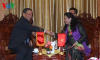 越南国会副主席丛氏放会见中国、日本和柬埔寨国会代表团团长