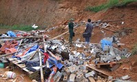 越南克服台风“海鸥”影响  帮助灾民早日稳定生活