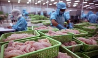 越南在对哥伦比亚出口鱼类产品的各国中占据榜首