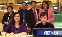 越南在落实《国际人口与发展大会行动纲领》中取得重要进展