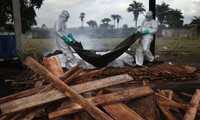 埃博拉已致2800人死亡