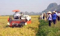 越南农业生产中的种植、养殖、水产业结构重组
