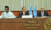 越南出席世界知识产权组织成员国大会第54次会议