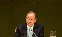 联合国气候变化峰会通过关于森林的宣言