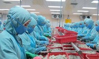 越南就美国对越南虾类产品出口企业实施反倾销税作出表态