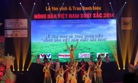 越南有关部门表彰63名优秀农民