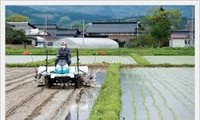 越南实现农业可持续发展