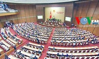 越南13届国会8次会议举行全体会议讨论立法工作
