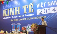 2014年越南经济论坛在河内举行