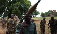 苏丹和南苏丹同意停止支持对方国家的反政府武装