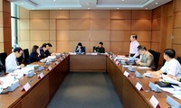 越南13届国会8次会议分组讨论《民法修正案（草案）》