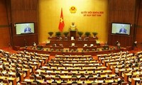 越南13届国会8次会议分组讨论《海洋海岛资源环境法（草案）》