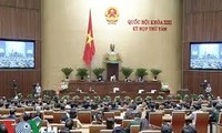 越南13届国会8次会议进行信任投票，讨论国会和人民议会代表选举法