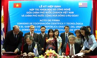 越南政府出台与外国合作协定落实指引文件