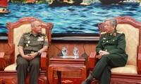 越南与印尼加强国防合作