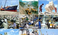 越共中央经济部举行社会经济发展五年计划座谈会
