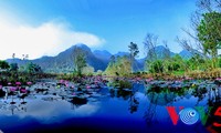 阿根廷媒体赞扬越南旅游魅力
