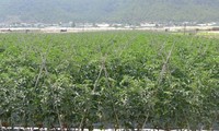 丹阳县天主教教民努力打造高科技农业