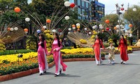 越南文化体育旅游部举行刺激国内旅游需求计划落实会议 