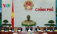 2015年越南政府的调控和指导活动