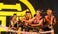 巴那族较具代表性的传统乐器