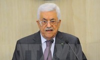 阿拉伯国家联盟就巴勒斯坦问题召开紧急会议