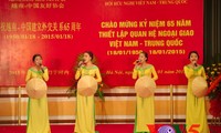 越中建交65周年纪念会在河内举行