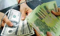 越南主动提升本币竞争力