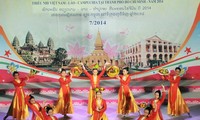 文化外交是越南文化特别重要的一部分