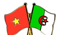 越南与阿尔及利亚在多个领域的关系正积极发展