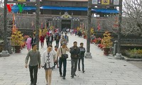 越南有关部门为国际友人举行游春活动